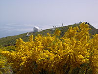 La Palma-observatory.jpg