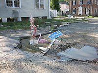 BroadmoorFlamingoForLandrieuPothole2.jpg