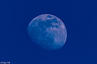 0I7A9817 (49108597703).jpg