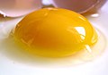 "Raw_egg.jpg" by User:Amada44