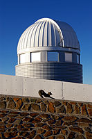 Fantastic Mr Fox.jpg