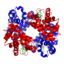 1GZX Haemoglobin.png