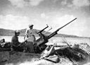 37mm Antiaircraft gun in Solomons.jpg