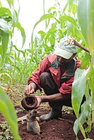 Mole Hunter 01-9.jpg