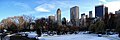 (2005) Wollman Rink.jpg