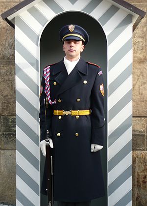Czech Guard soldier