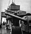 Wicher's main guns.JPG