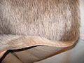 Synthetic Fur.jpg