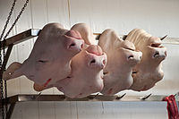 Tetes de veaux.jpg
