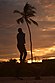 Coconut tree view Yoga health and wellness practice at sunset.jpg