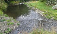 Owheo River, Dunedin.jpg