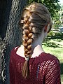 "Classic_French_Braid_(2).JPG" by User:Stilfehler