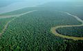 osmwiki:File:Aerial view of the Amazon Rainforest.jpg