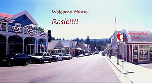Nevada City welcome.jpg