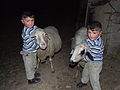 Twin brothers with donated sheep.jpg