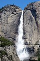 Yosemite Nat 7.jpg