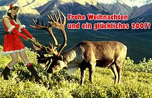 Weihnachtsfrau-4.jpg